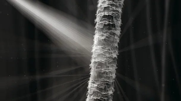 Поврежденные волосы рассеивают свет