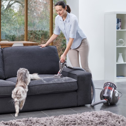 Пылесос проводной Dyson Cinetic Big Ball Absolute 2