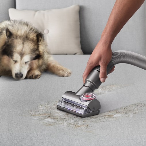 Пылесос Dyson Ball Animal 3 Complete